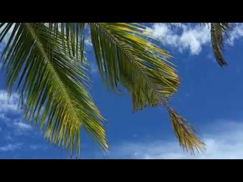 Nano Cabrera - Isla Para Dos