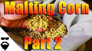 HOW TO MALT CORN FOR MOONSHINE & BEER - EASY! - Part 2