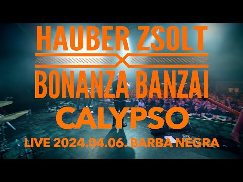 Hauber Zsolt X Bonanza Banzai - Calypso I Live I Music video