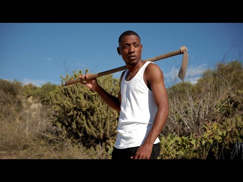 Camy Breezy - Unscalele Bo (Official Video UHD 4K)