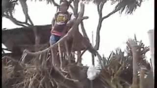 Download lagu Hanya Dirimu WILDAN NASUTION mp3 Download lagu Hanya Dirimu WILDAN NASUTION mp3