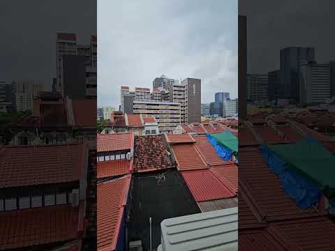 Trendy Studio near Jalan Besar MRT, Kelantan Lane, Jalan Besar, Veerasamy road, Studio, 250 sqft, Shophouse For Rent, by Jocelyn Chia, 24446267 - PropertyGuru.com.sg