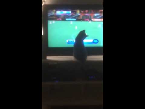 Rio kijkt wedstrijd Nederland-Japan damesvoetbal