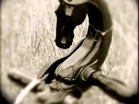 Aanda Band - Thousand of Galloping Horses