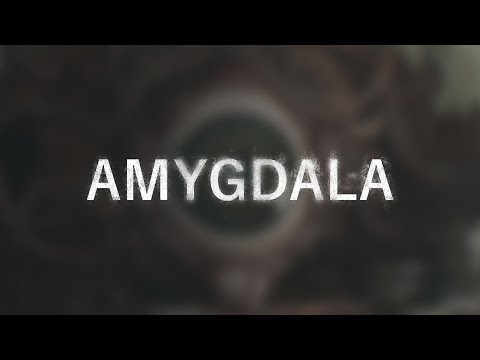 Teaser