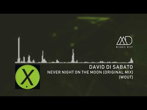 PREMIERE: David Di Sabato - Never Night On the Moon (Original Mix) [Wout]