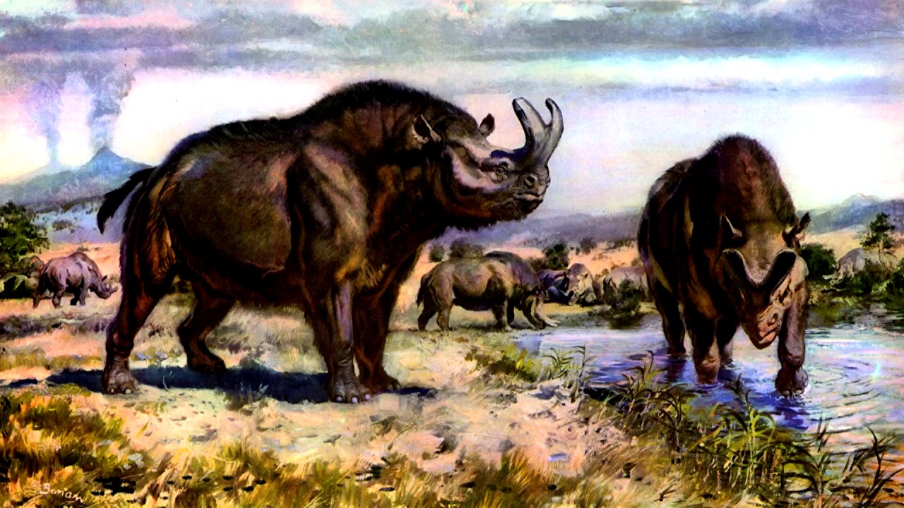 Eocene Primates: Unlocking Early Primate Evolution | GutaChe News