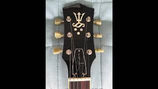 Video thumbnail for FujiGen Signature Cherry Sunburst by ianrobertson2010