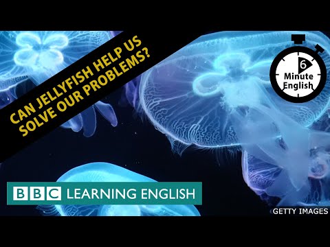 水母能幫我們解決問題嗎？6分鐘英語 (Can jellyfish help us solve our problems? 6 Minute English)