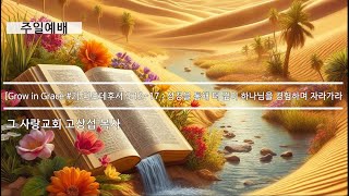 [주일예배] Grow in Grace #2 디모데후서 3:12~17 : 성경을 통해 더 깊이 하나님을 경험하며 자라가라