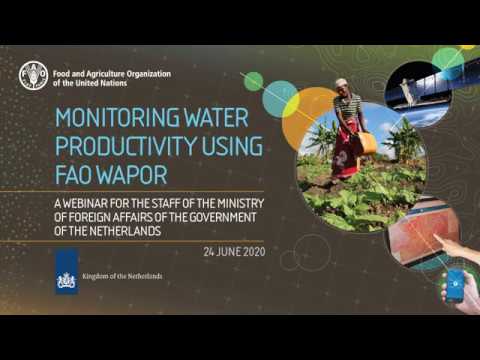Webinar for the staff of the Netherlands foreign affairs ministries: monitoring water productivity using FAO WaPOR