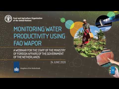 FAO webinar: monitoring water productivity using FAO WaPOR