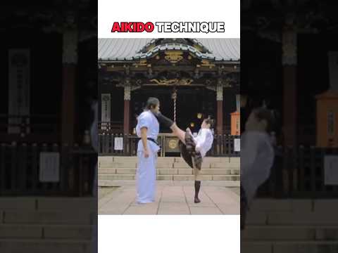 Aikido technique from roud kick🥋 #aikido #mma #karate