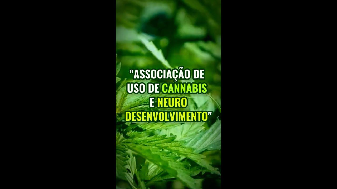 O uso de cannabis causa alterações no cerébro?