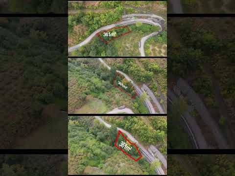 YouTube Shorts Önizleme