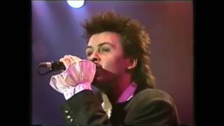 PAUL YOUNG 1985 Bite the Hand That Feeds [LIVE Rockpalast Essen] GERMANY]