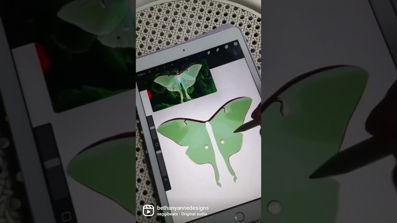 🦋Luna moth! results at the end! #procreateapp #art #lunamoth #shorts