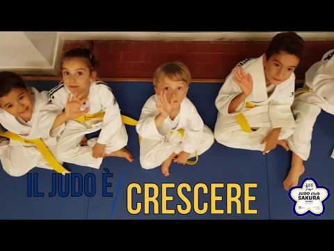 PROMO 2019 JUDO CLUB SAKURA OSIMO