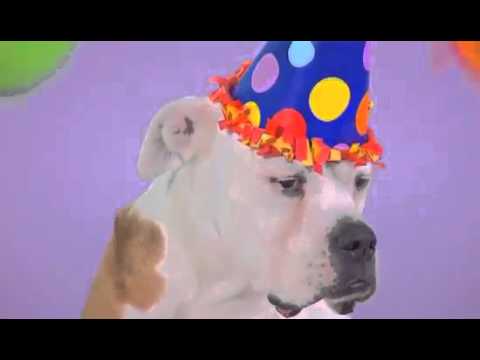 Happy Birthday Sam!!