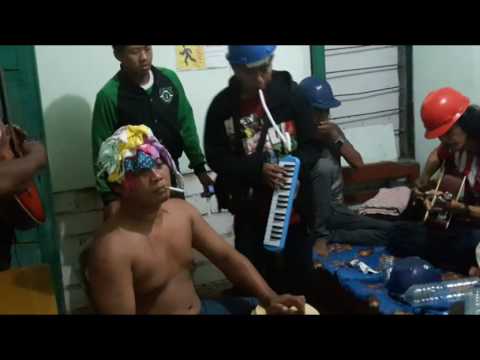 GITAR TUA gatoel nada