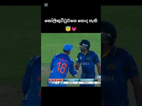 කෝලිකුට්ටුවගෙ හොද පැති😇💗🥲#srilankacricket #youtubeshorts #trendingshorts #viralvideo