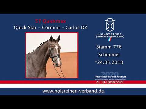 Holsteiner Körlot 2020 | Nr. 57 Quickmax