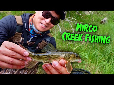 Micro Fishing a Small Saskatchewan Creek (Brook Trout Mission)