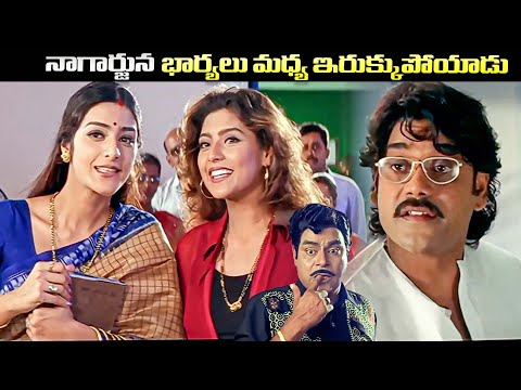 Aavida Maa Aavide Movie Comedy Scene | Nagarjuna, Tabu, Heera | iDream Clips