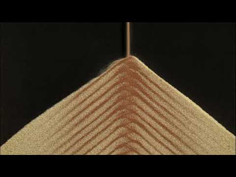 Le sapin - expérience scientifique #4.01 de Grains de bâtisseurs