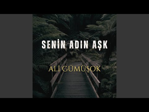 Senin Adın Aşk