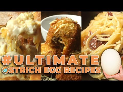 How to Eat Tasty Ostrich Egg: Ultimate Breakfast Casserole, Nuggets, & Carbonara Recipes