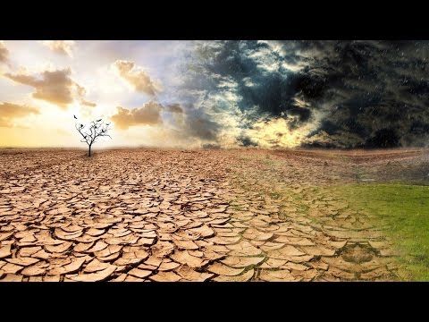 Click to Watch the Our common home really needs your help! video