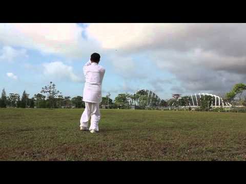 Master Daniel Tan   Dongyue 37 Steps