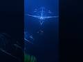 Is This The Scariest Place In Subnautica