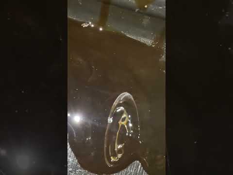 Thumbnail for No Oil Pressure, Bottom End Knock. #54triton #fordexpedition #autorepair #mobilemechanic #ford #ma by Ford MA