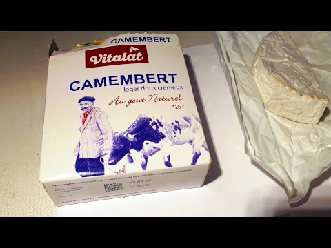 Camembert under microscope