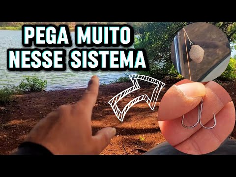 Peguei MUITAS Tilápias na Represa de Jeriquara SP na Massinha