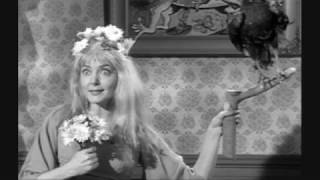 Morticia's Widow-walk Cat-walk Strut - Kristal McKinstry