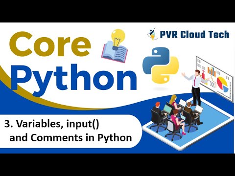 3 Variablesinput And Comments In Python