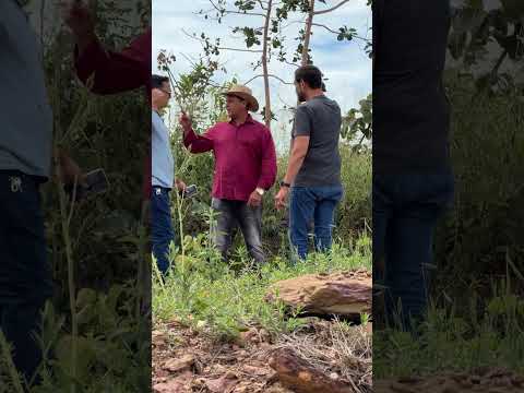 Atendimento de sábado no lago Corumbá IV em Alexânia GO  #meulagocorumba #lagocorumba4