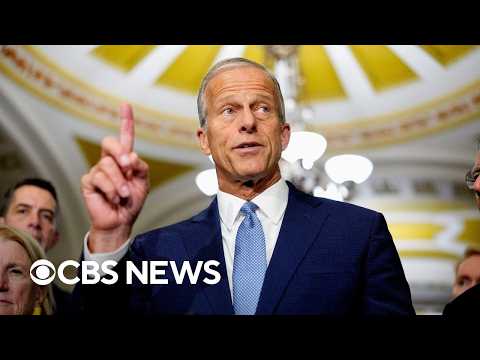 Inside John Thune's quiet effort to keep GOP's Senate majority