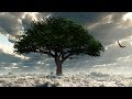 Peaceful music, Relaxing music, Instrumental music "Eagle's Journey" by Tim Janis