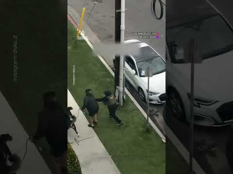Dog walker threatened with gun during ICE arrest in North Hollywood | AJ #shorts