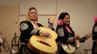 Mariachi Divas de Cindy Shea