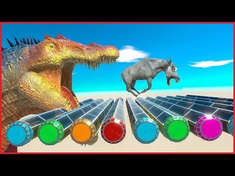 CAN SOMEONE will not FALL FROM RINGS OF DOOM - Animal Revolt Battle Simulator