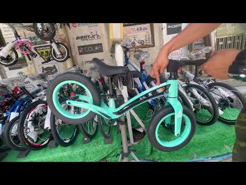 YouTube DAHON KID KING TAM211鎂合金兒童 平衡車 啤呤軨打氣呔3kg-12"開箱