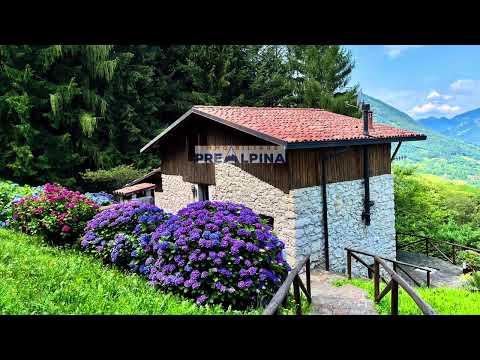 Anteprima galleria video agenzia cercacasa