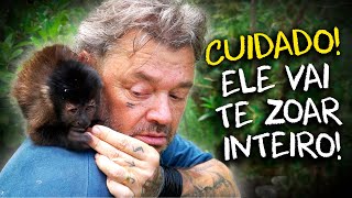 TER UM MACACO EM CASA? SERÁ QUE VOCÊ ESTÁ PRONTO PRA ISSO?