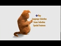 Garfield The Movie DVD Menu Walkthrough Disc 1