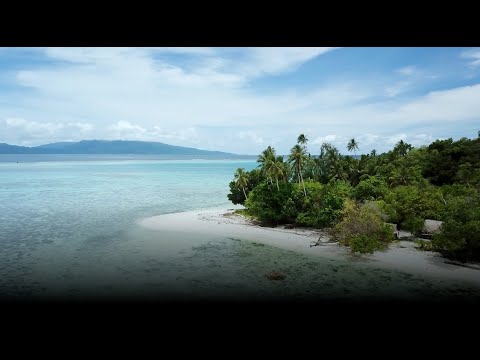 The SCALA Programme: Private Sector Engagement Facility Activities in the Solomon Islands